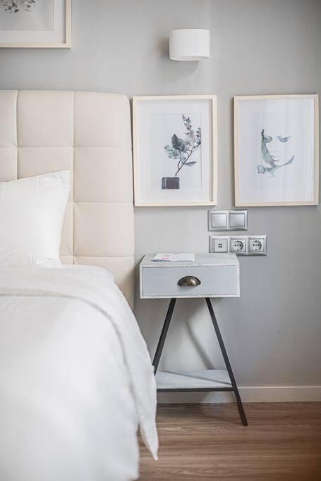 A12 Pristine flat near Parthenon&Syntagma square Lejlighed Athen Eksteriør billede