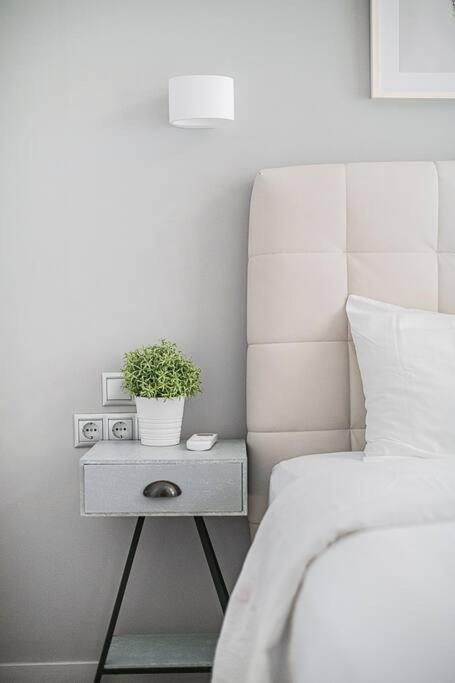 A12 Pristine flat near Parthenon&Syntagma square Lejlighed Athen Eksteriør billede